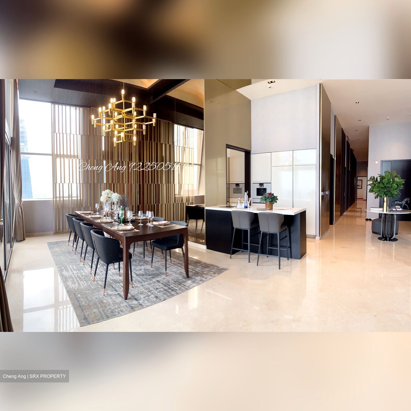 V On Shenton (D1), Apartment #455004521